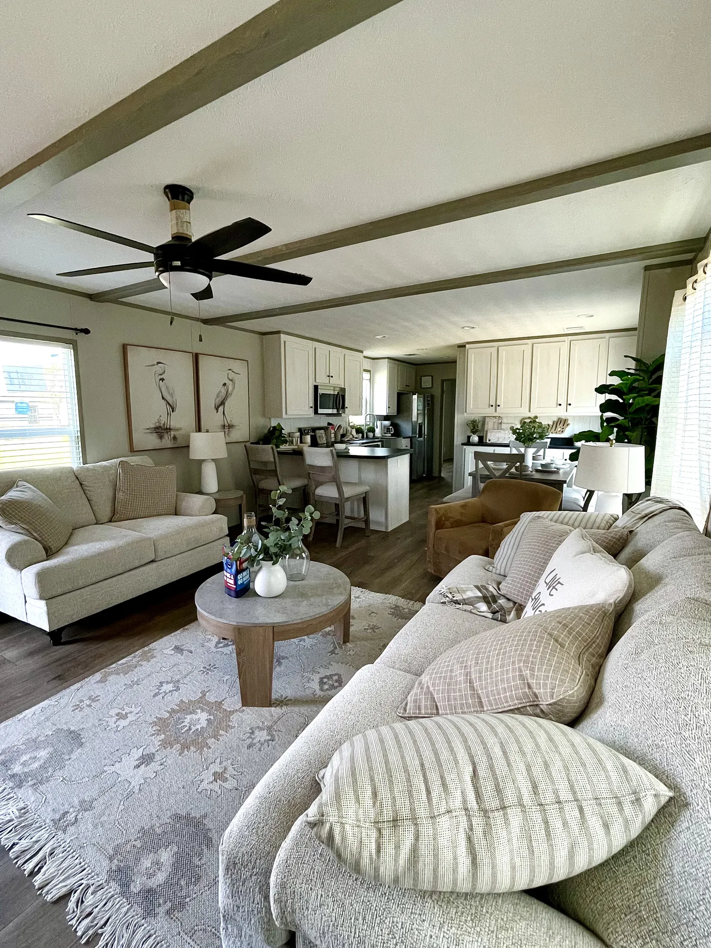 Living Kitchen Combo