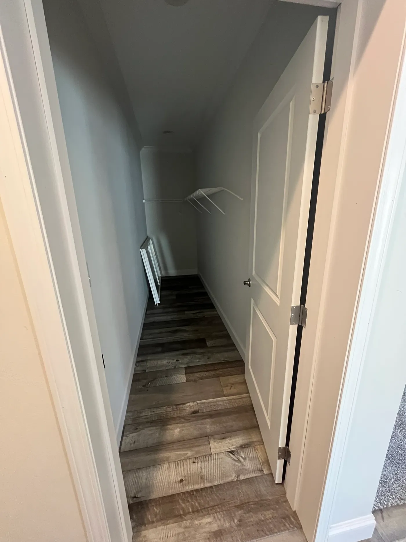 Closet Storage or Basement Door