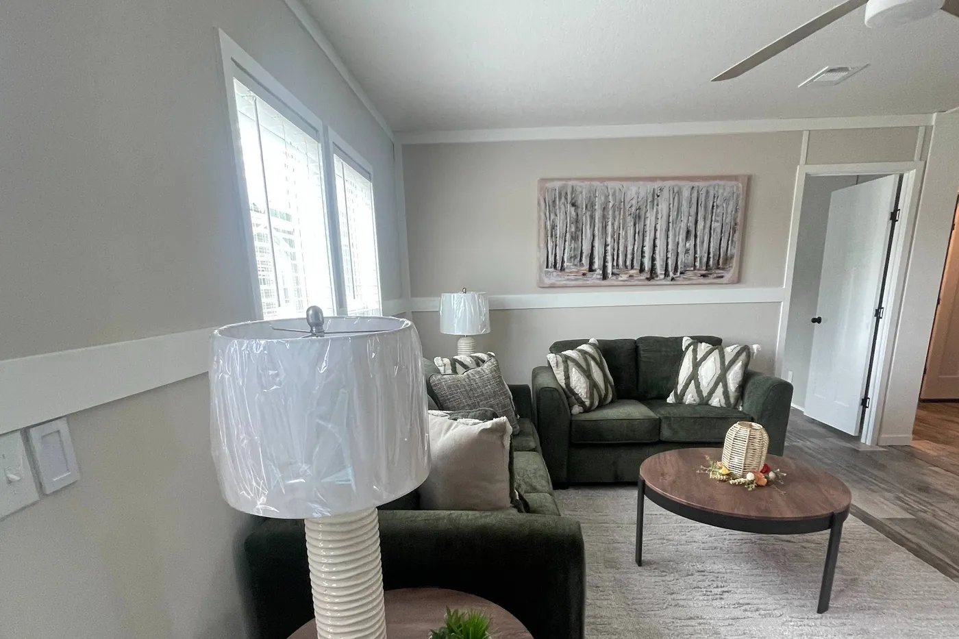 home image