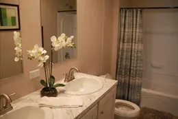 Double vanity bathroom with a shower tub