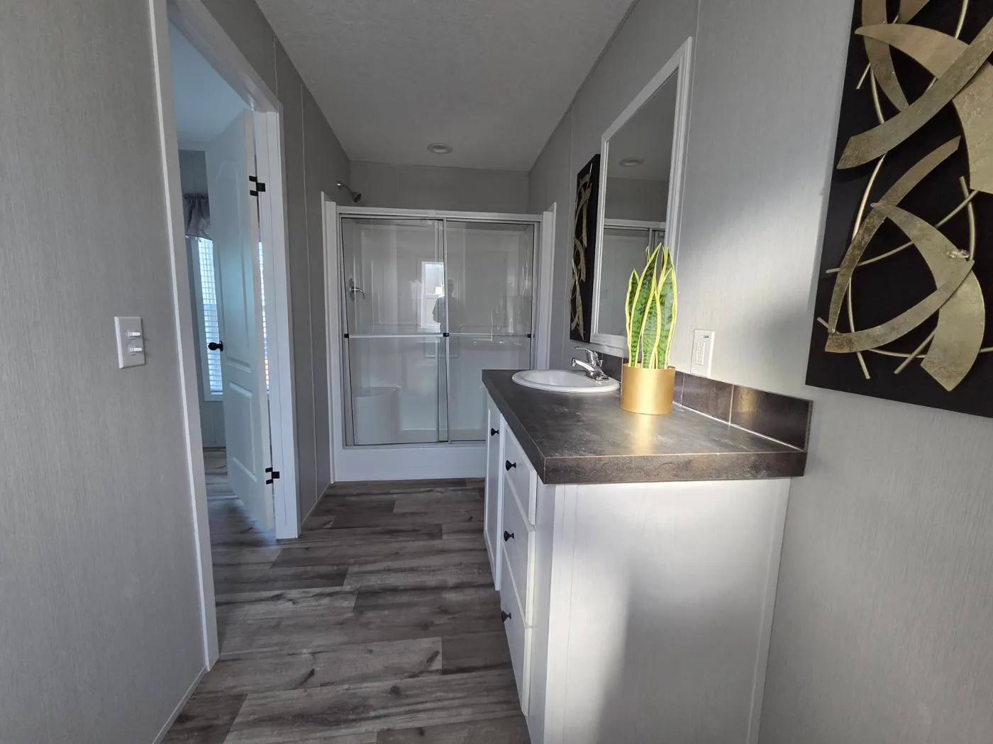 home image
