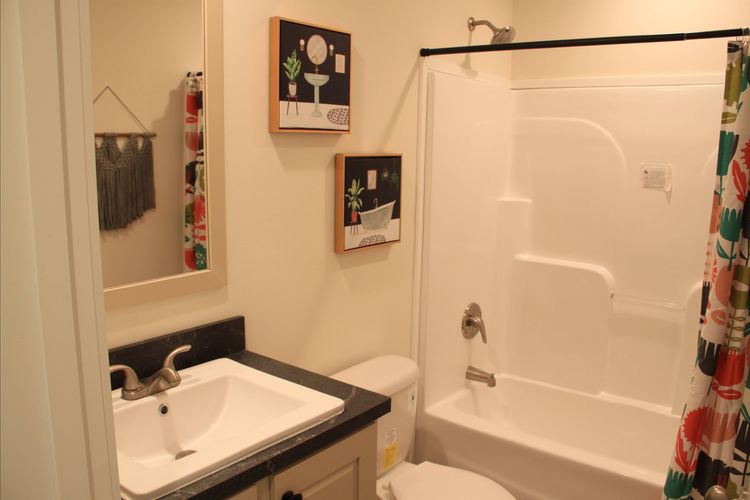 Single vanity bathroom with a shower bath