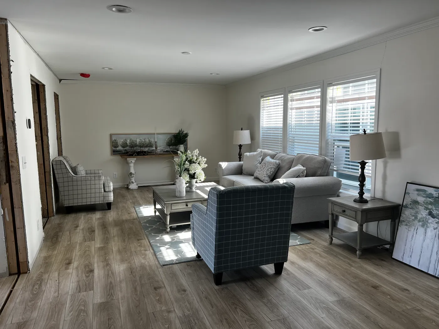 home image