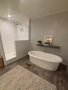 Stand alone tub, huge shower