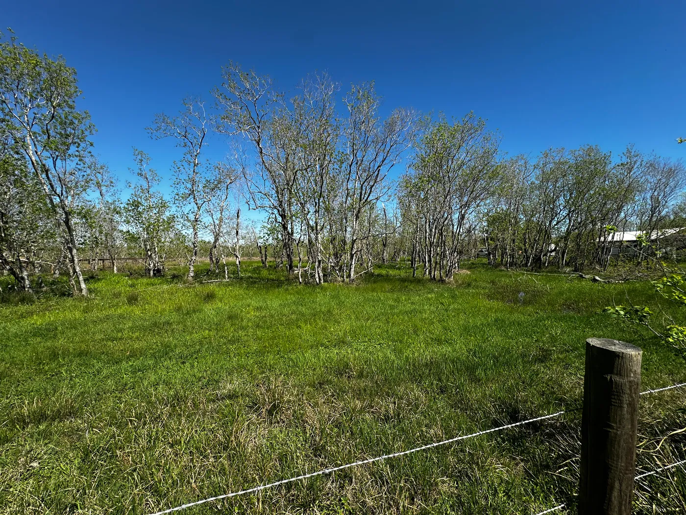 Affordable Acre, Cheap, Ready To Move In, Land in Alvin