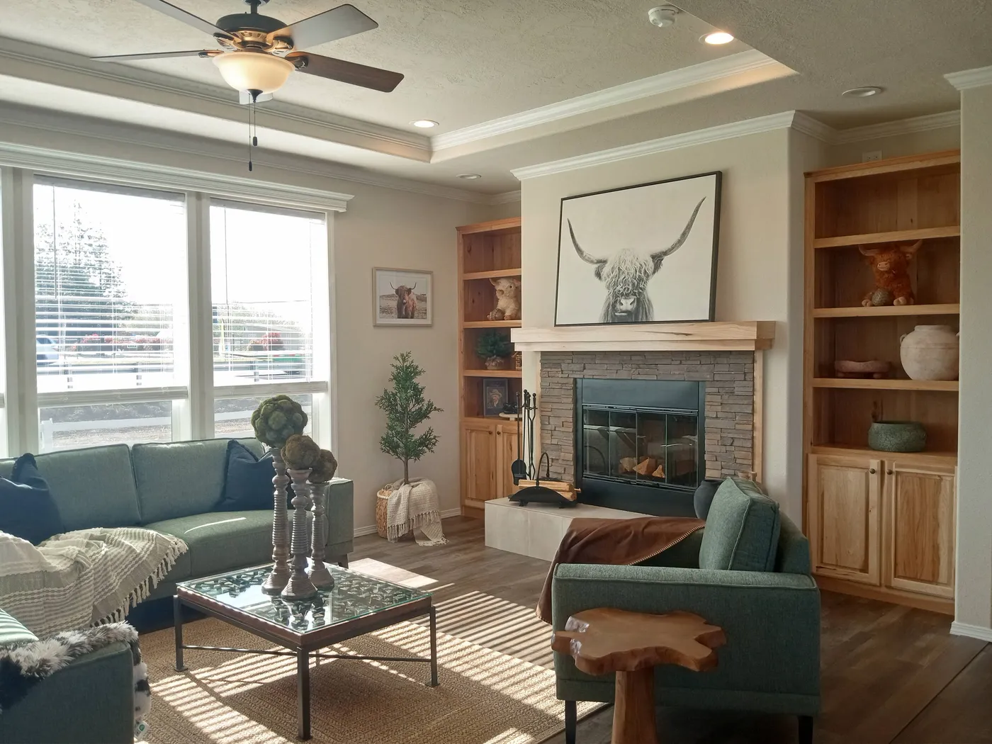 home image