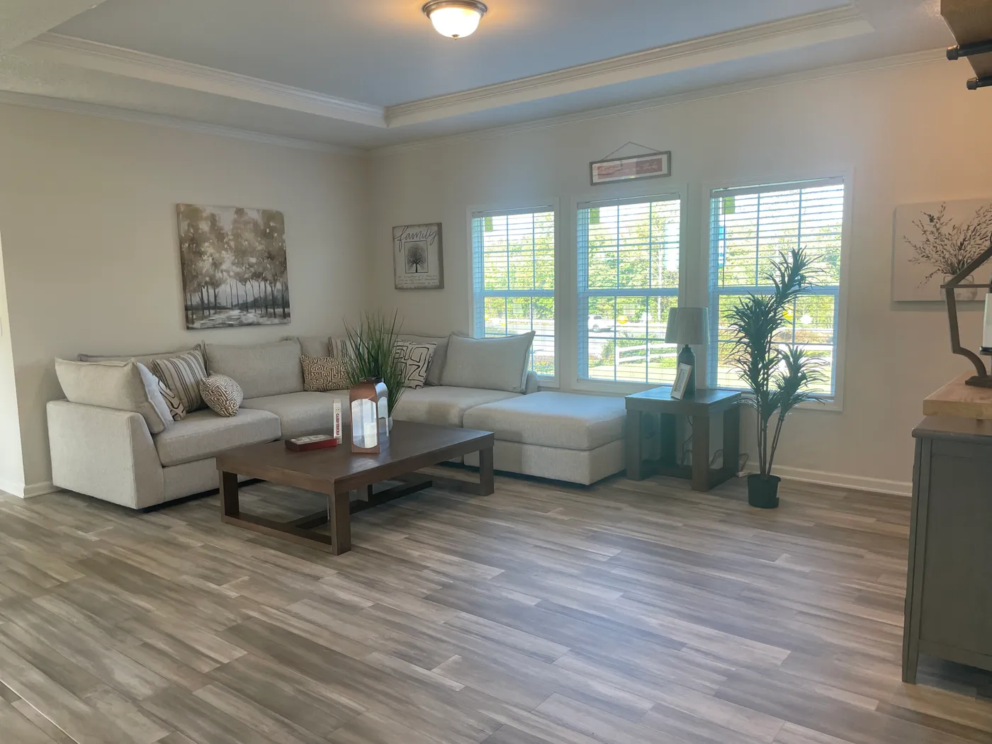 home image