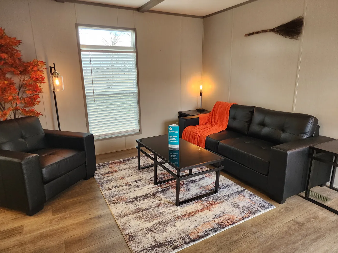Living room with plenty of natural lighting