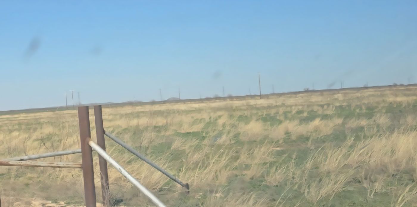 Property Line 13 Acre View