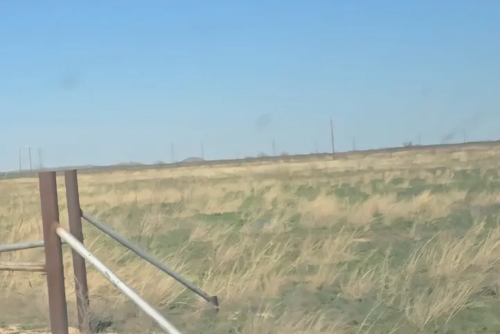 Property Line 13 Acre View