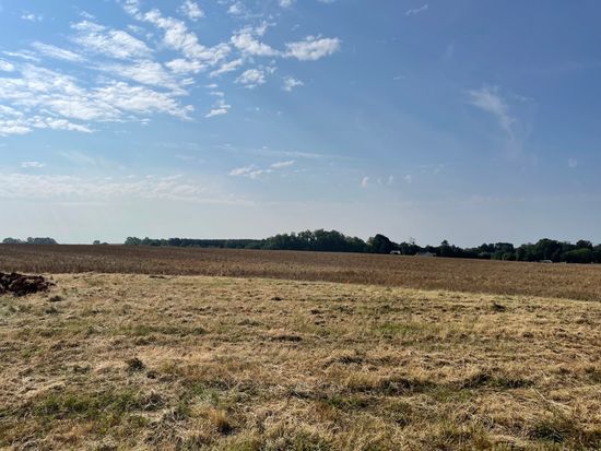 The Carolinian Knox Farms