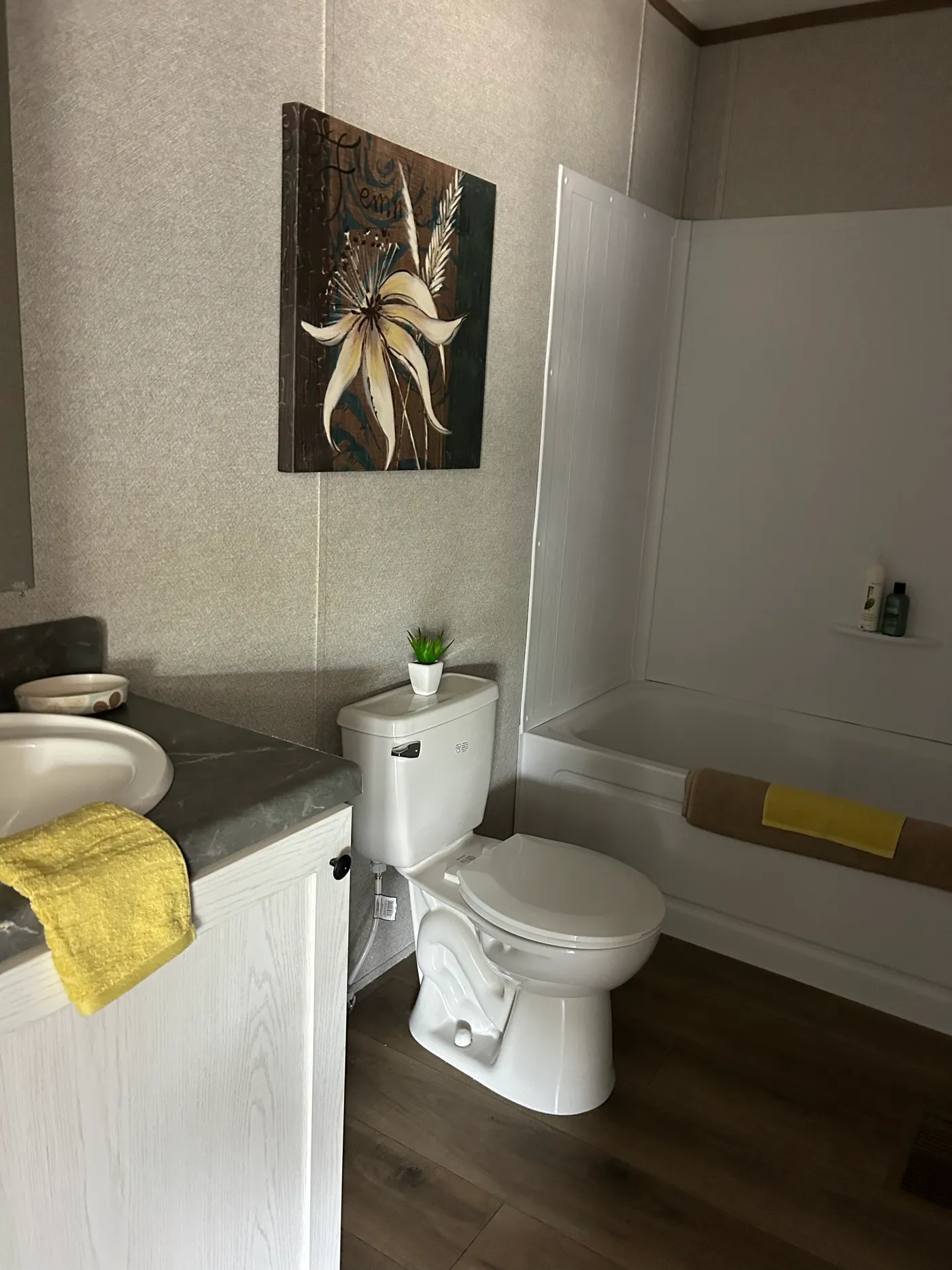 home image