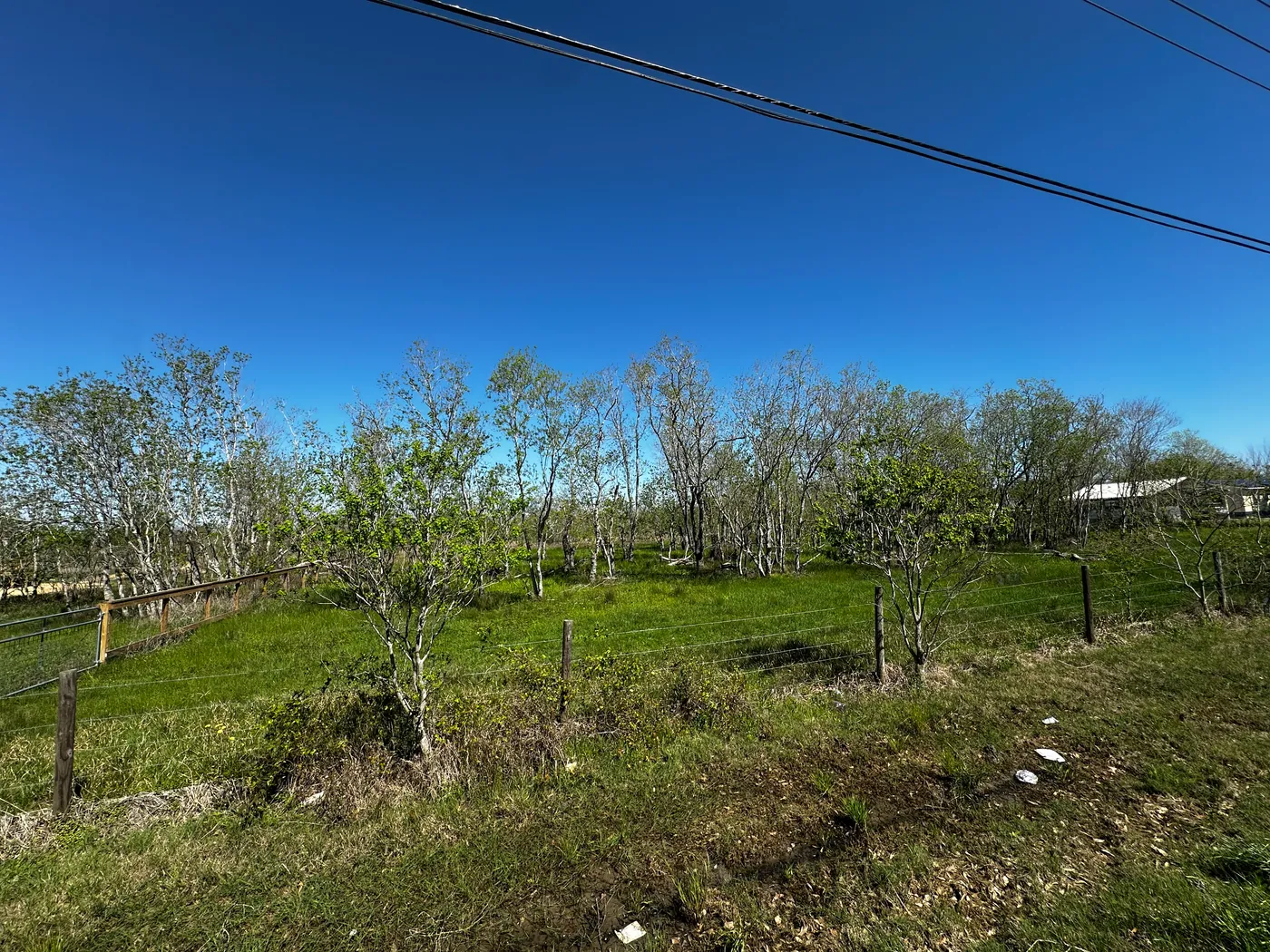 Affordable Acre, Cheap, Ready To Move In, Land in Alvin