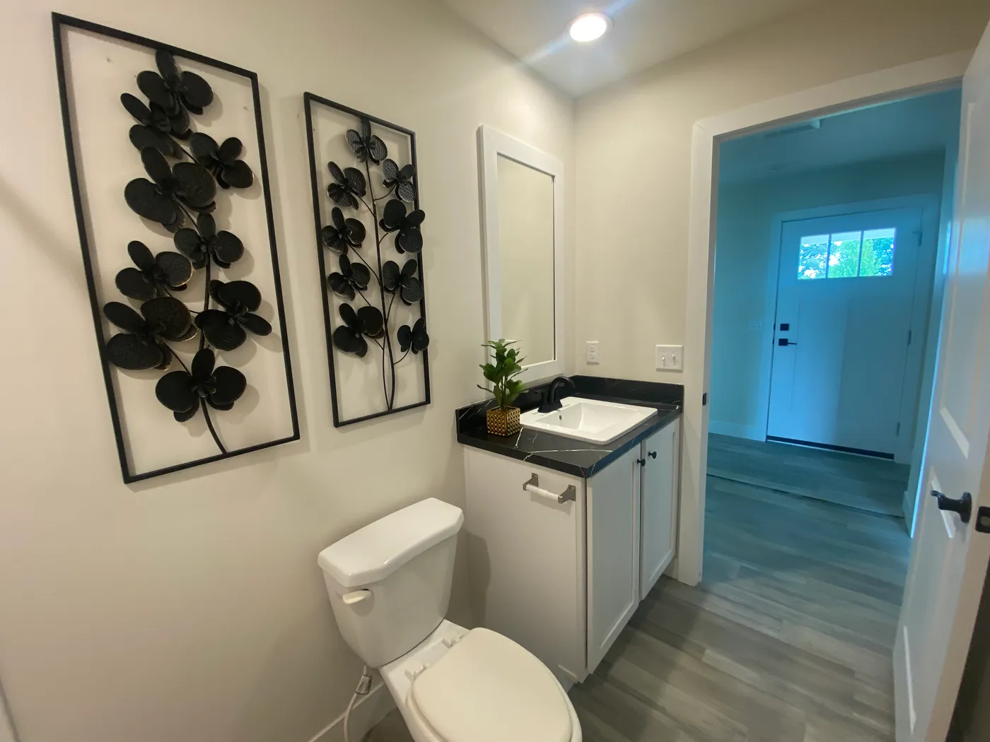 home image
