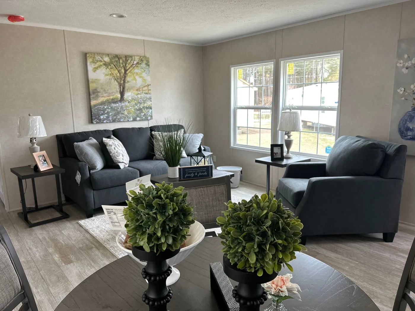 home image