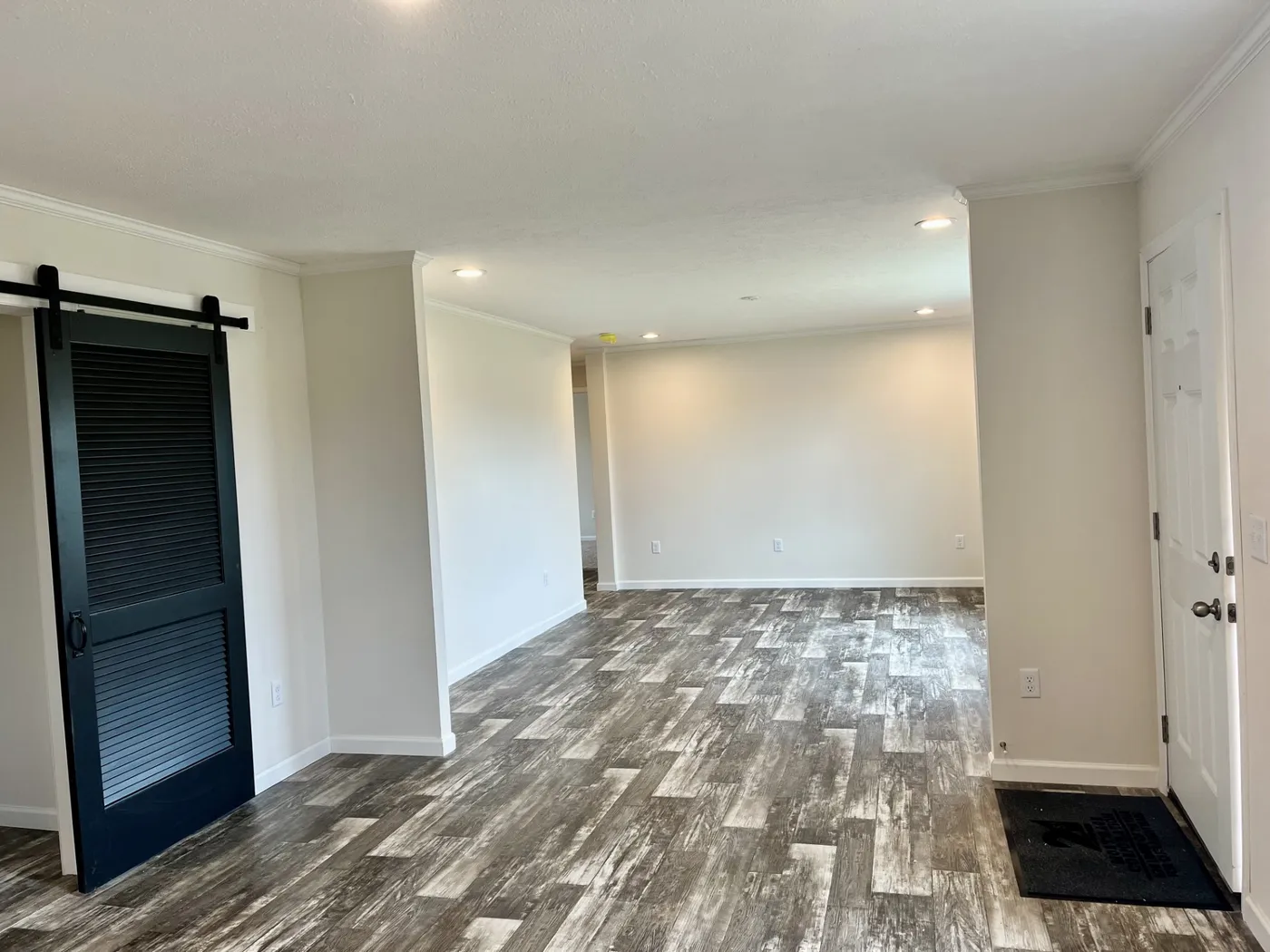 Entry Way closet With Barn Door