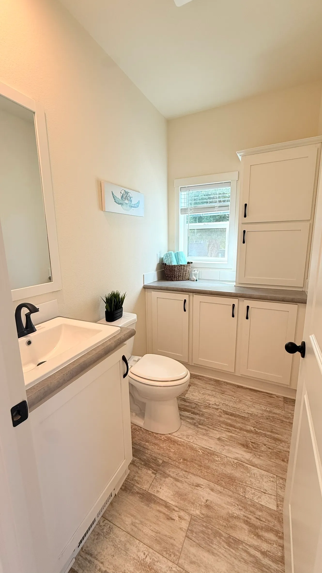 home image