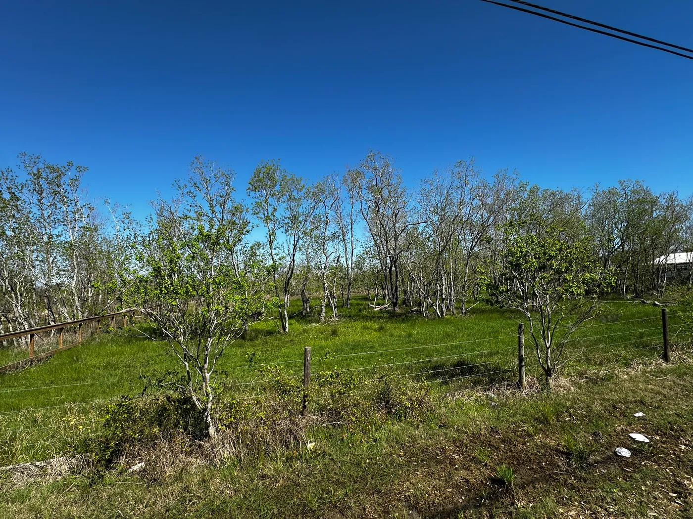 Affordable Acre, Cheap, Ready To Move In, Land in Alvin