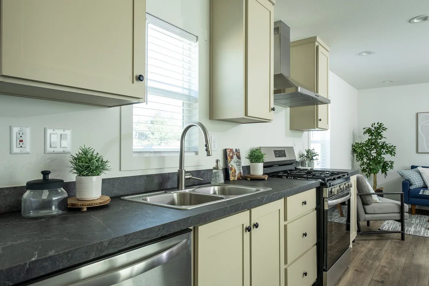 home image
