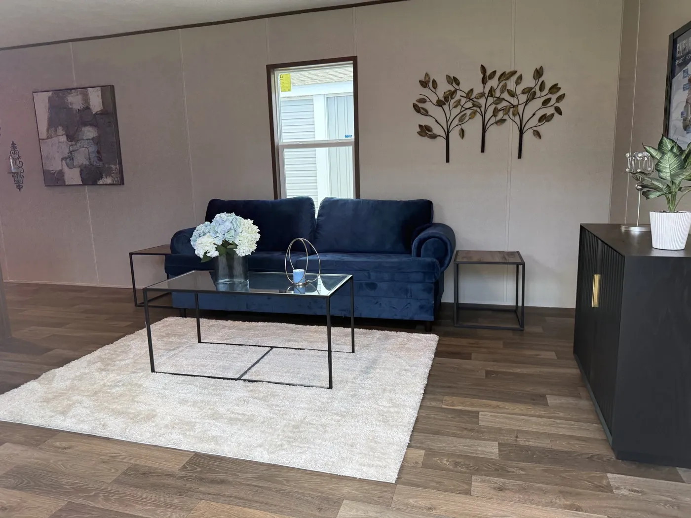 home image