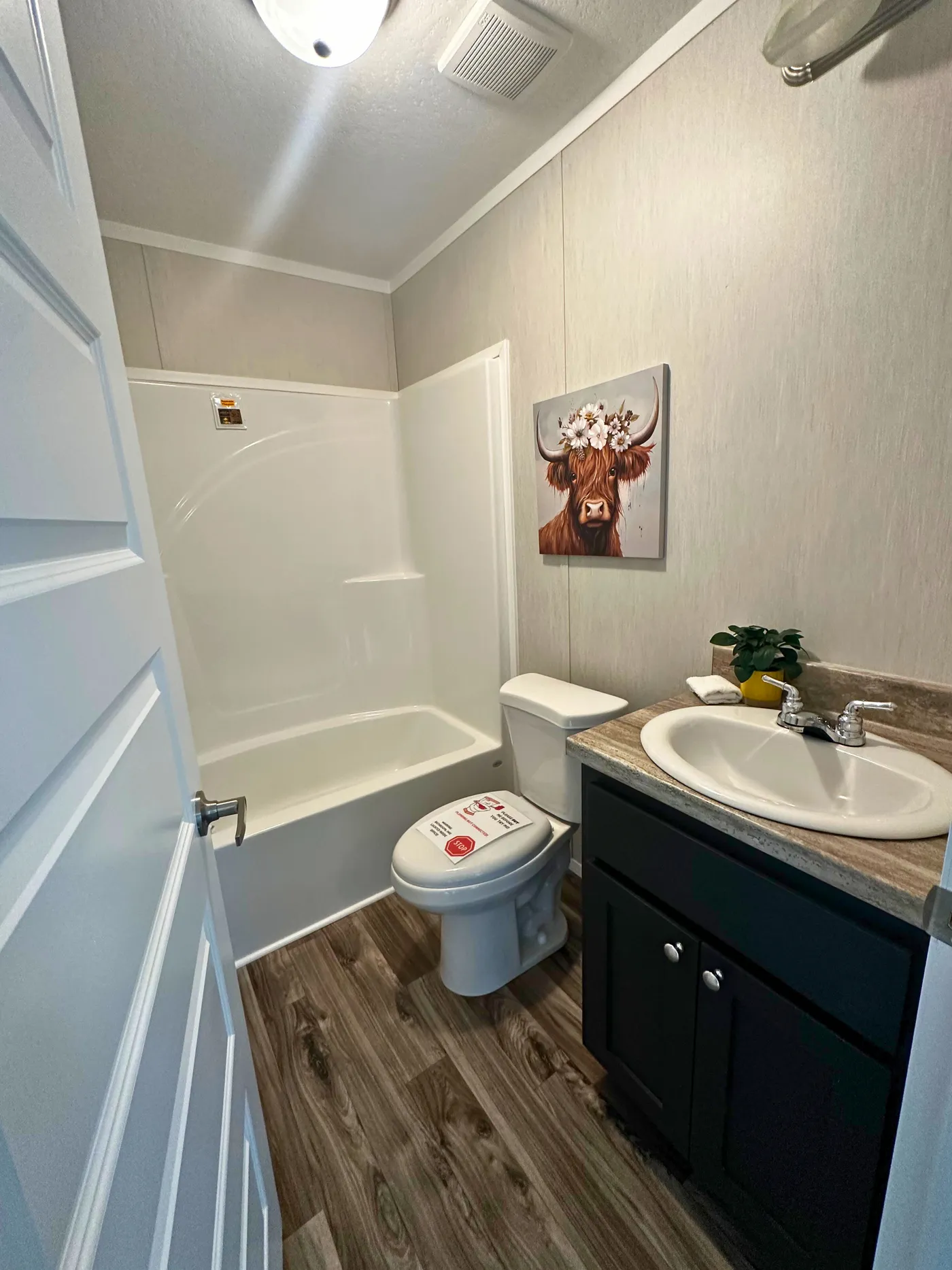 home image