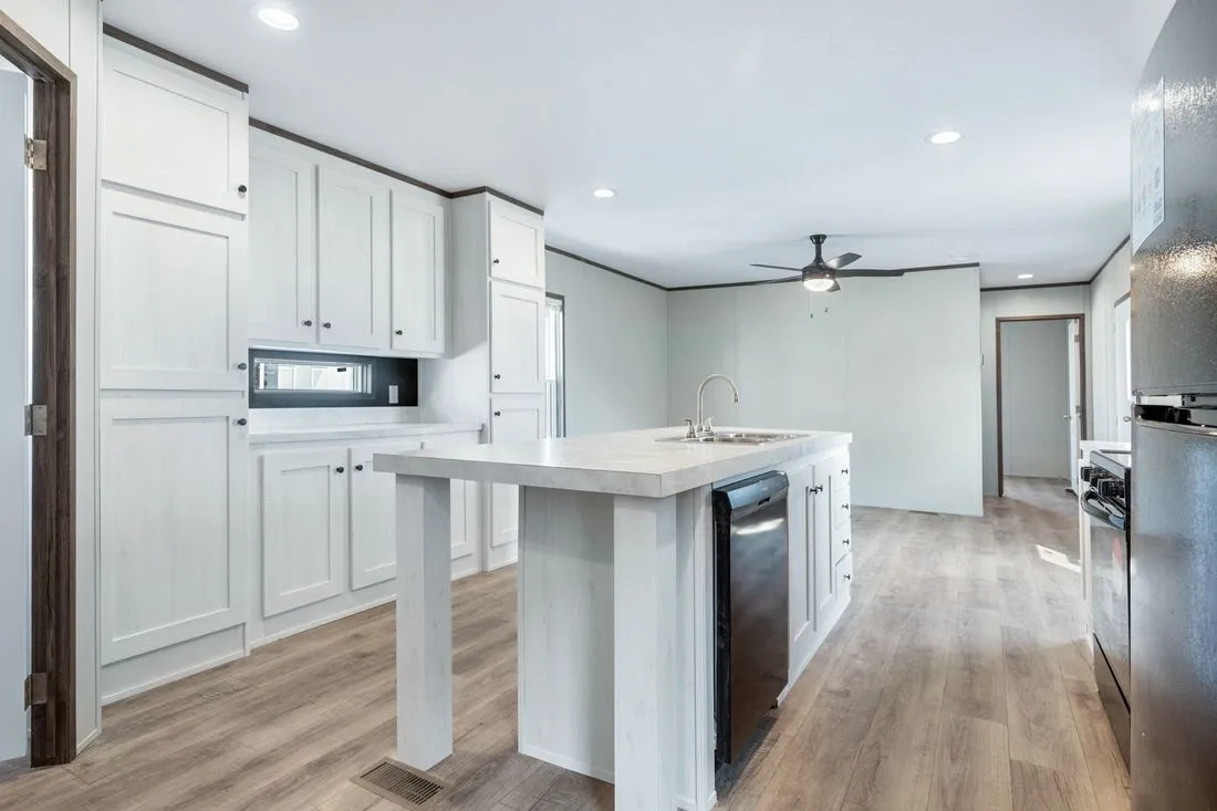 Tons of Kitchen Storage