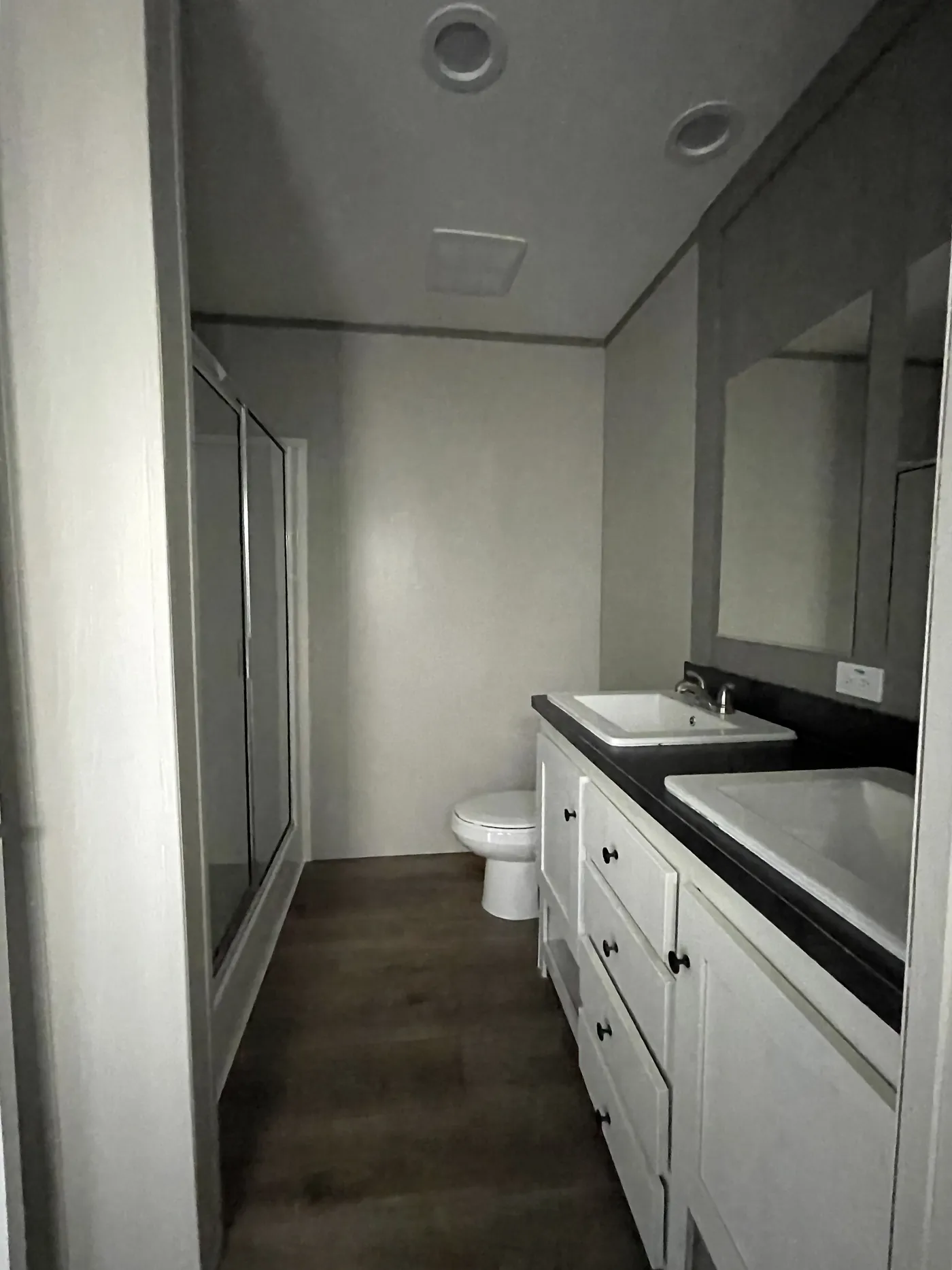 Primary Bathroom Dual Vanity + Shower View