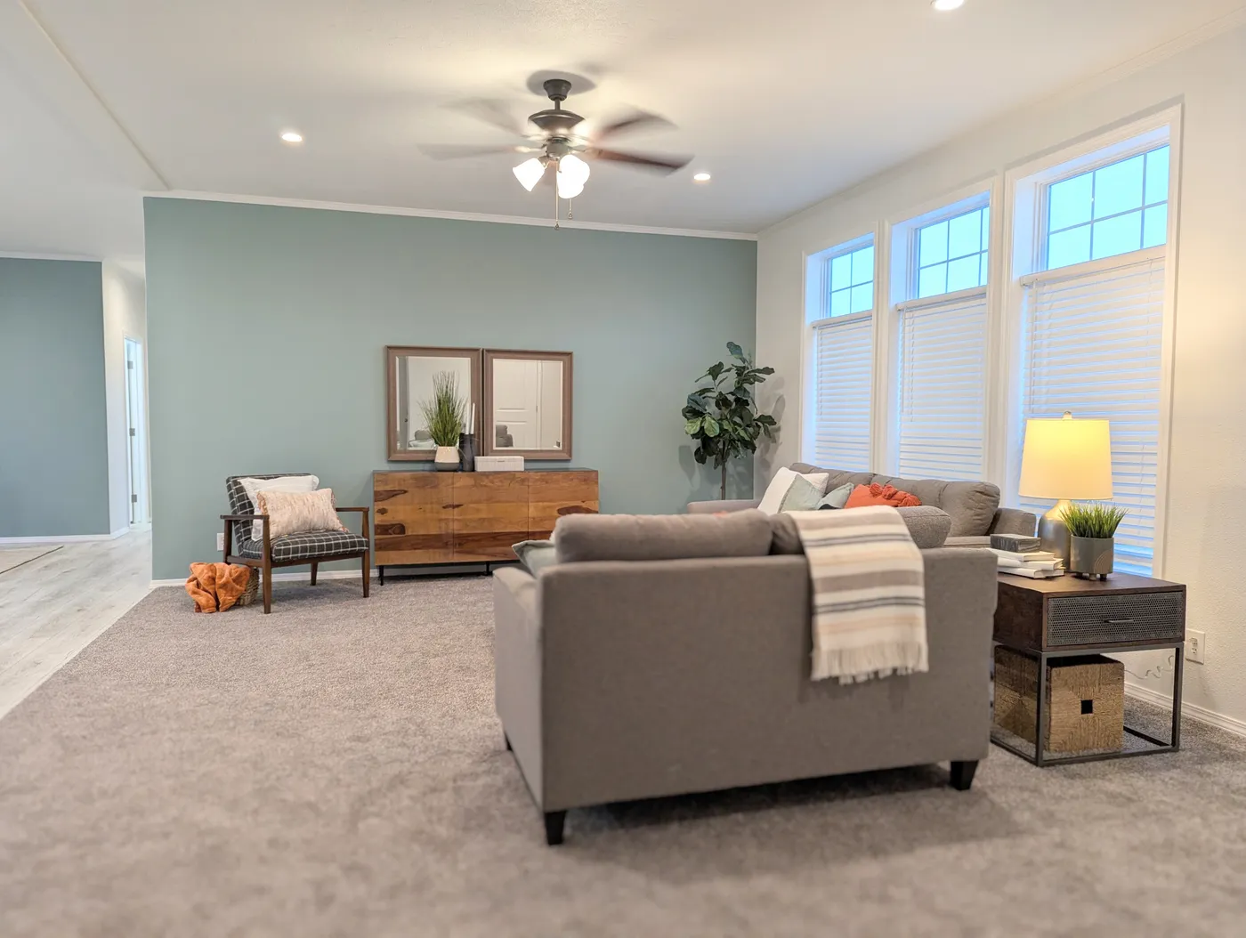home image