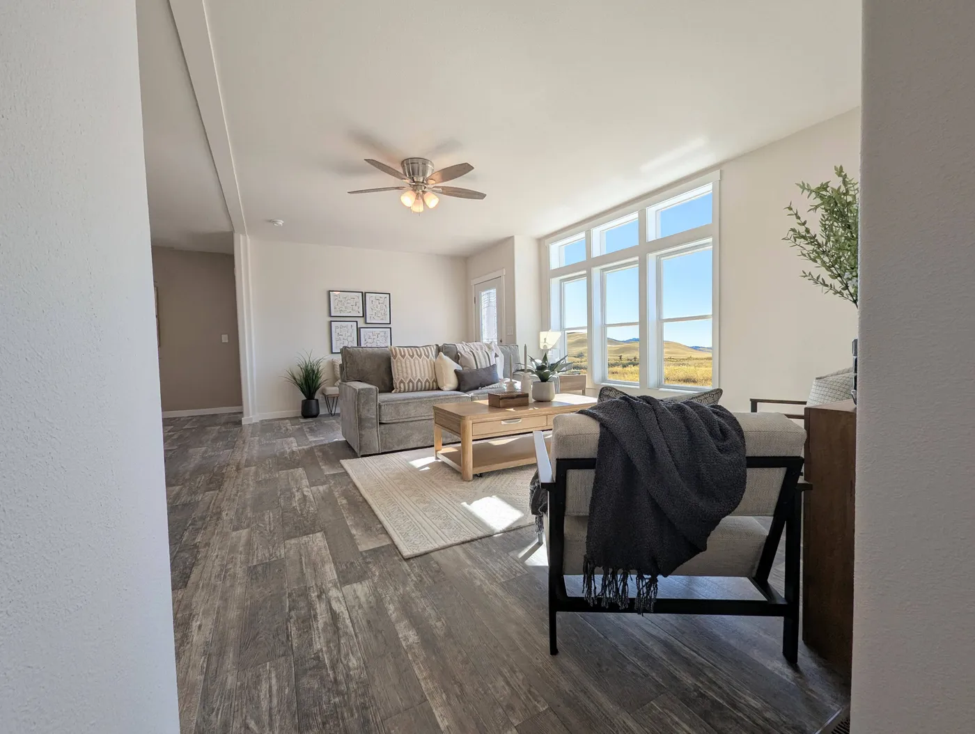 home image