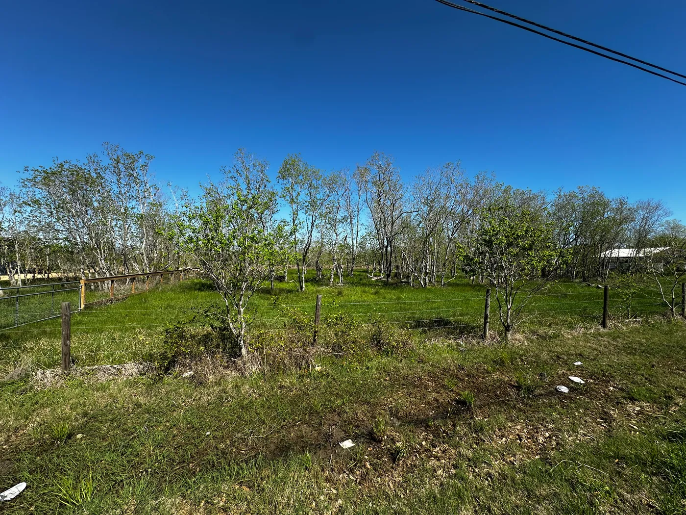 Affordable Acre, Cheap, Ready To Move In, Land in Alvin