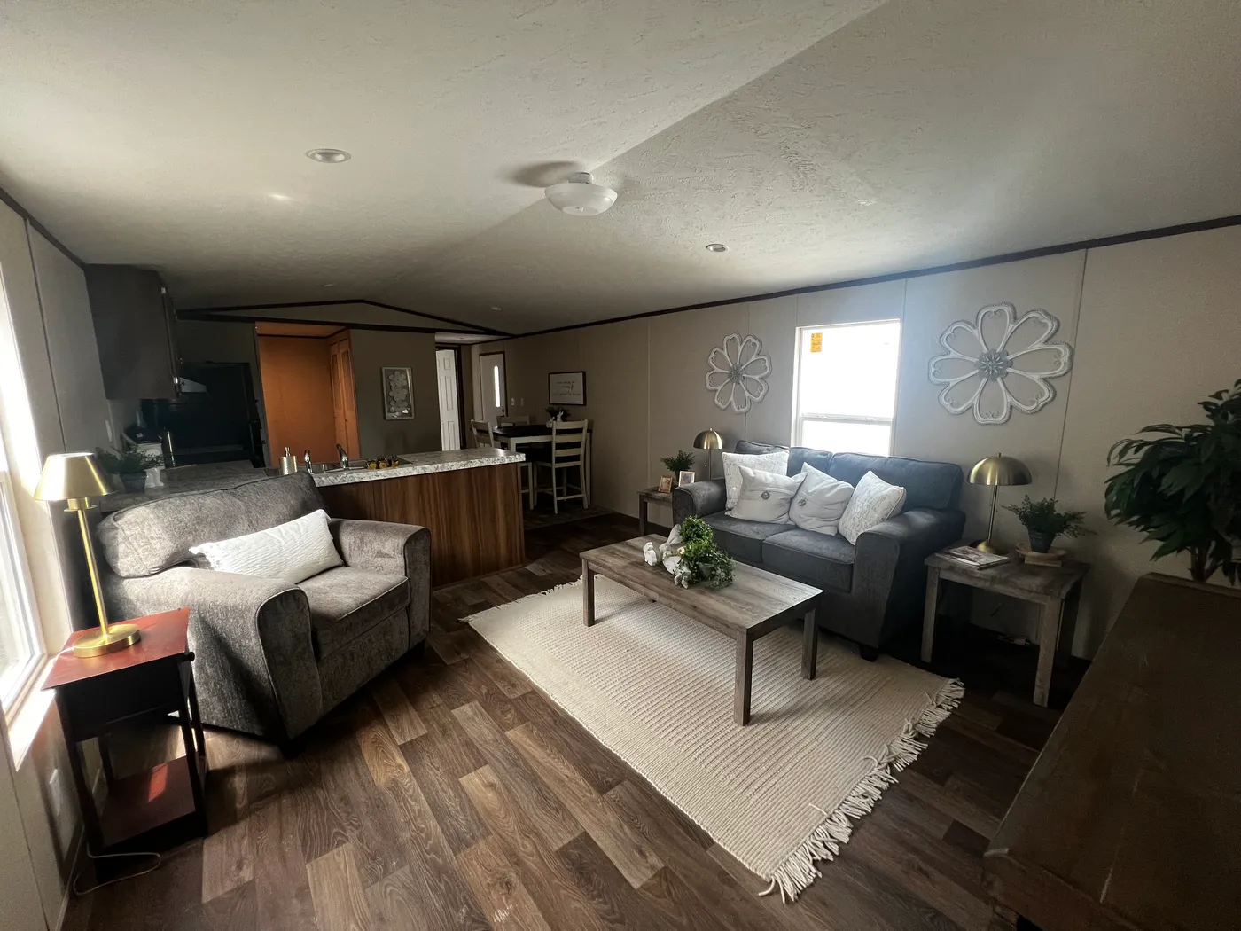 home image