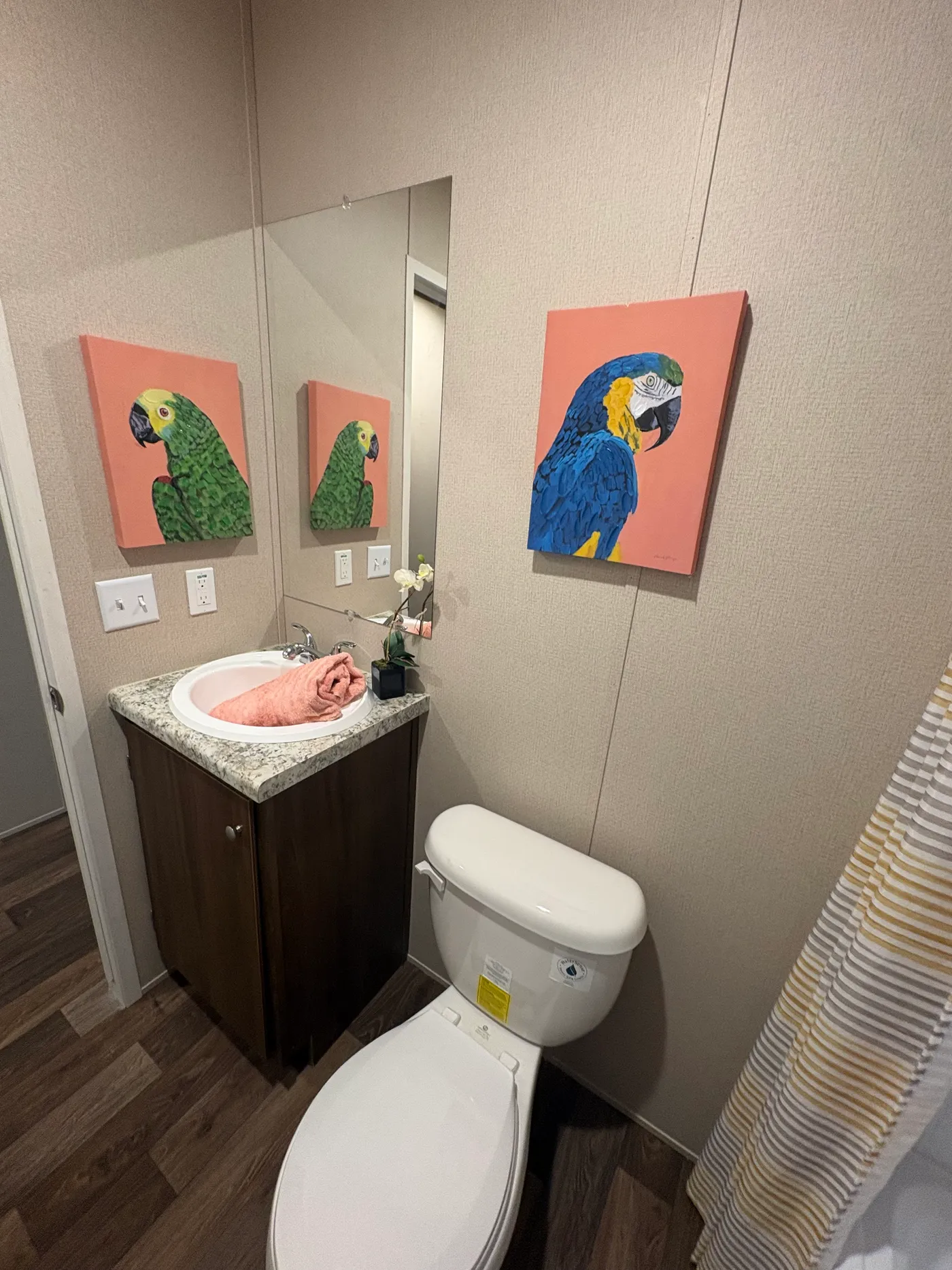 home image