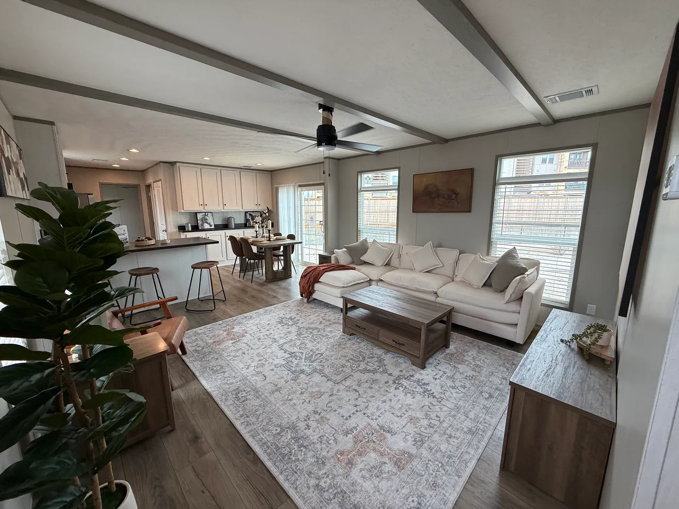 home image