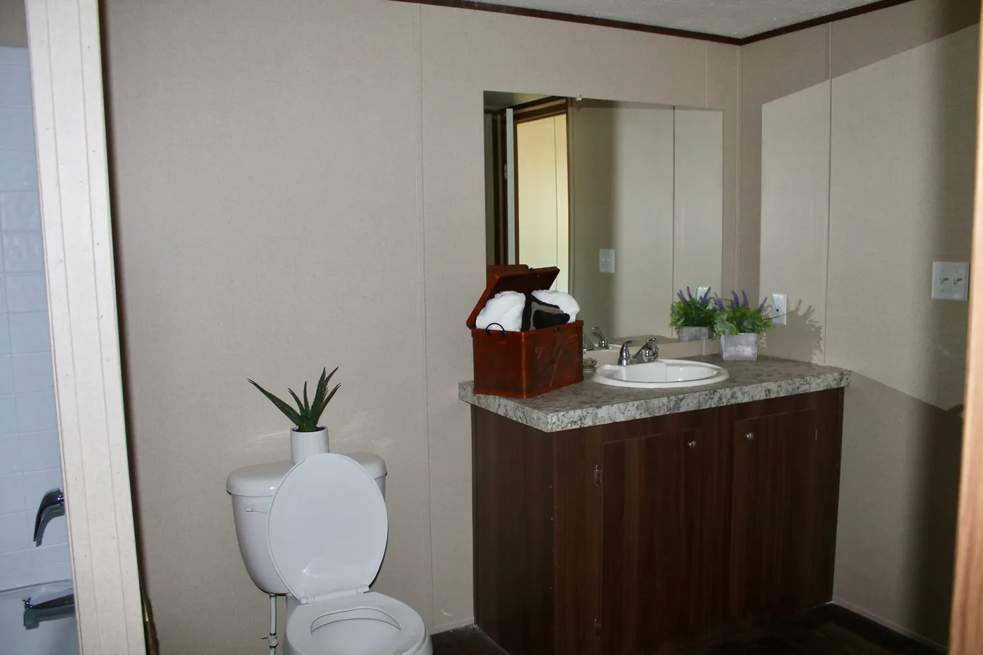 home image
