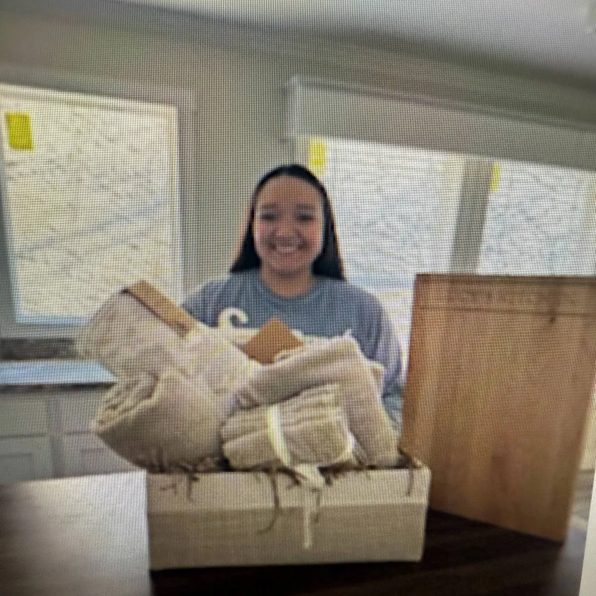 LUCINA L. welcome home image