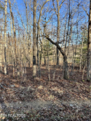 Photo of 153 Manchester Rd, Crossville, TN 38558