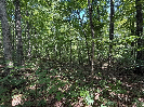 Photo of Lot 2 E Cove Rd., MONTEREY, TN 38574