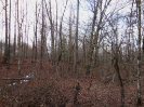 Photo of 1143 Natchez Trace, Crossville, TN 38572