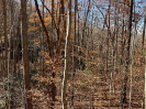 Photo of 74J Ash Branch Drive, HAYESVILLE, NC 28904