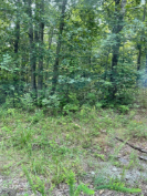 Photo of 8919 Pima Drive, Crossville, TN 38572