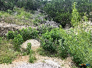 Photo of 1609 Trail Pass Drive, Canyon Lake, TX 78133