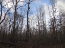 Photo of 3008 Diego Drive, Crossville, TN 38572