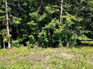Photo of 1008 Chief Day Break Drive, Crossville, TN 38572