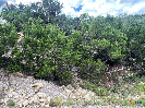 Photo of 1597 Trail Pass Drive, Canyon Lake, TX 78133