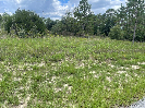 Photo of 6028 W Alessi Place, Dunnellon, FL 34433