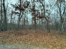 Photo of 421 Blackfoot Dr, CROSSVILLE, TN 38572