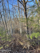 Photo of 443 Saint George Drive, Crossville, TN 38558
