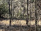 Photo of Lot 59c Mountain Harbour, Hayesville, NC 28904