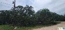 Photo of 1391 Covered Wagon, Spring Branch, TX 78070