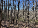 Photo of Lot 34J Ash Branch Road, HAYESVILLE, NC 28904